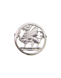Welsh Dragon Pin