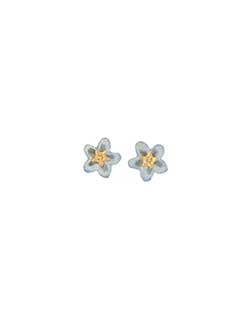 Forget-Me-Not Earrings, Post
