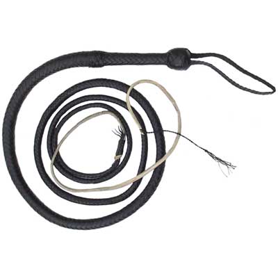 Bullwhip, 8 ft., Black