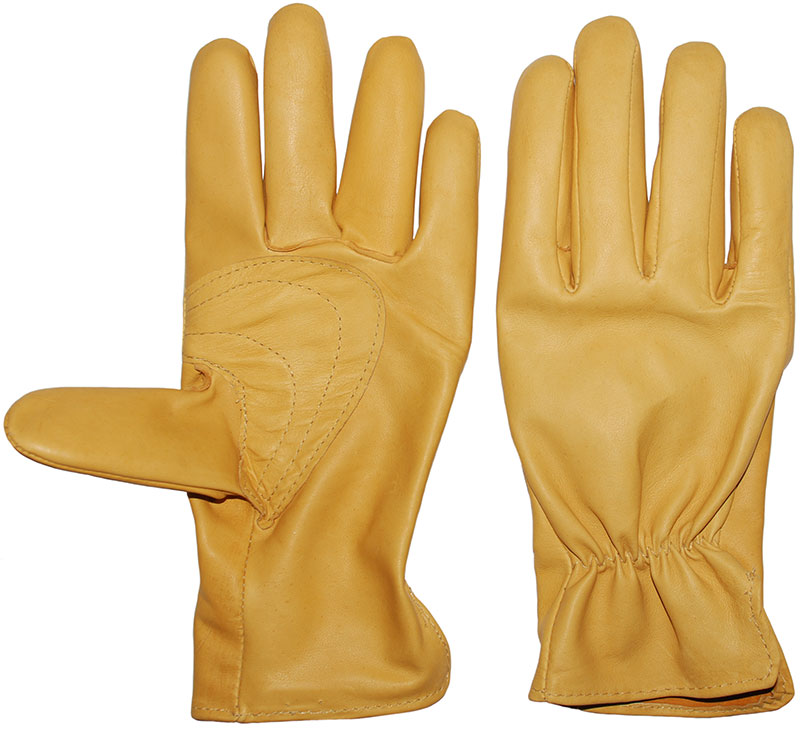 Kangaroo Leather Roper Glove, Gold