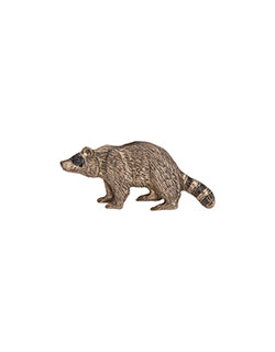 Raccoon Pin