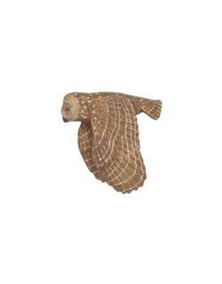 Spotted Owl Pin