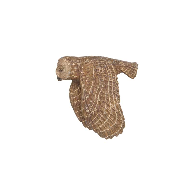 Spotted Owl Pin, Bronze