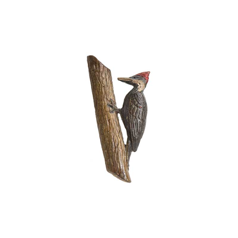 Pileated Woodpecker Pin, Bronze