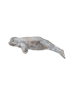 Beluga Whale Pin