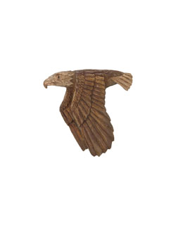 Flying Eagle Pin