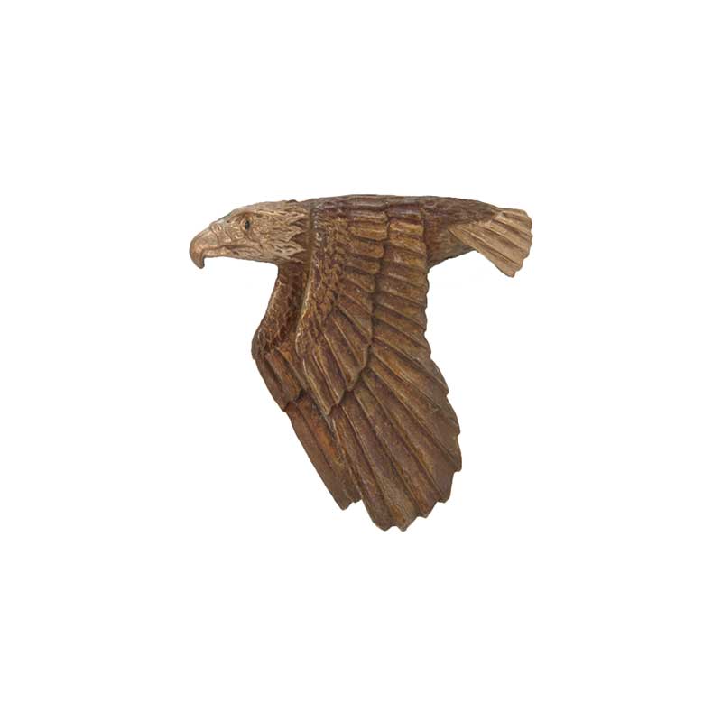 Flying Eagle Pin, Bronze