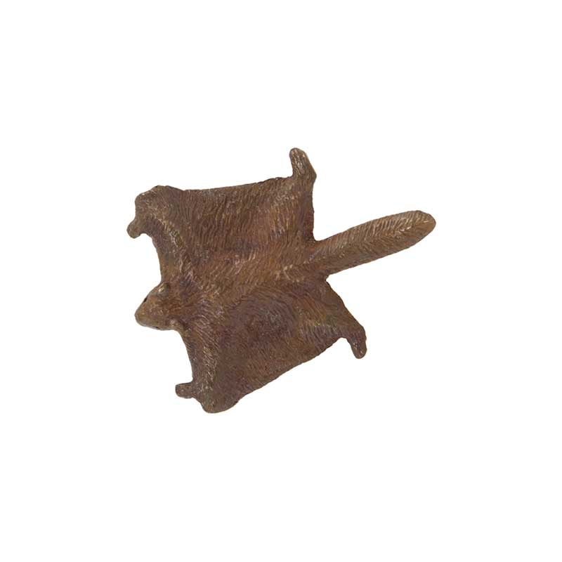 Flying Squirrel Pin, Bronze