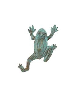 Tree Frog Pin