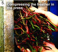 Compressing the Heather in the Press